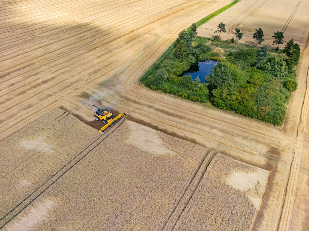 イランの戦争が長引いたら食料危機になる、というニュースが正直かなり怖い