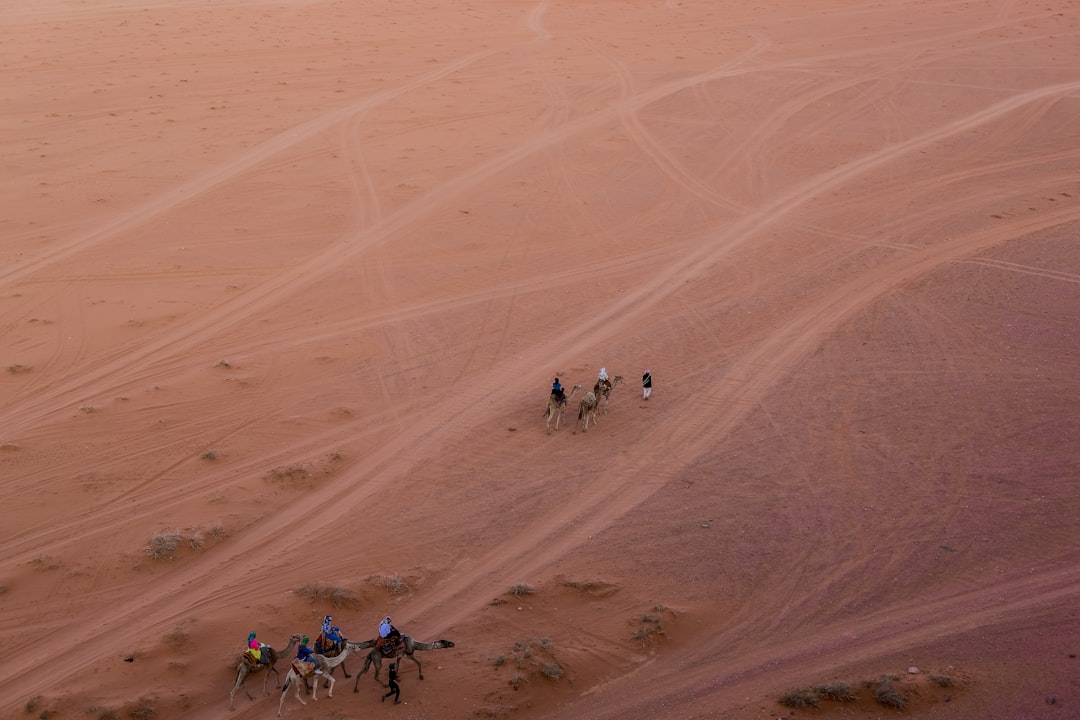 ガザに砂嵐が来た。戦争と自然災害が同時に人を追い詰める現実、これは正直きつい